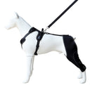Pet Leg Support Dog Knee Brace Post-Surgery Rehabilitation Knee Support Joint Protection Bandage - V.I.P Digital Presence