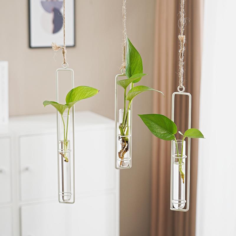Scandinavian-Style Glass Hydroponic Vase for Living Room with Creative Hanging Door Decor and Wall Ivy Plant Water Cultivation Transparent Pot - V.I.P Digital Presence
