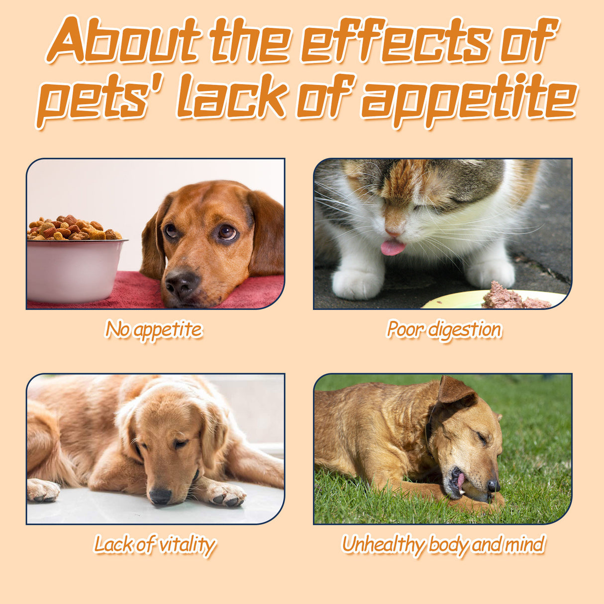 Pet Drops For Every Pets, Energizing And Nourishing Pet Health Care Drops - V.I.P Digital Presence