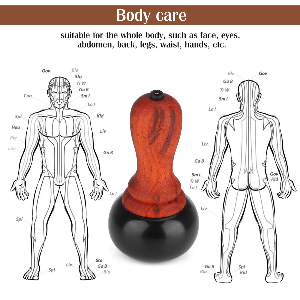 PASTSKY Hot Stone Electric Gua Sha Massager Bian Stone Guasha Tool Skin Scraping Back Face Massage Body Warm Moxibustion Therapy - V.I.P Digital Presence