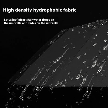 84 Bone Ring Buckle Umbrella - V.I.P Digital Presence