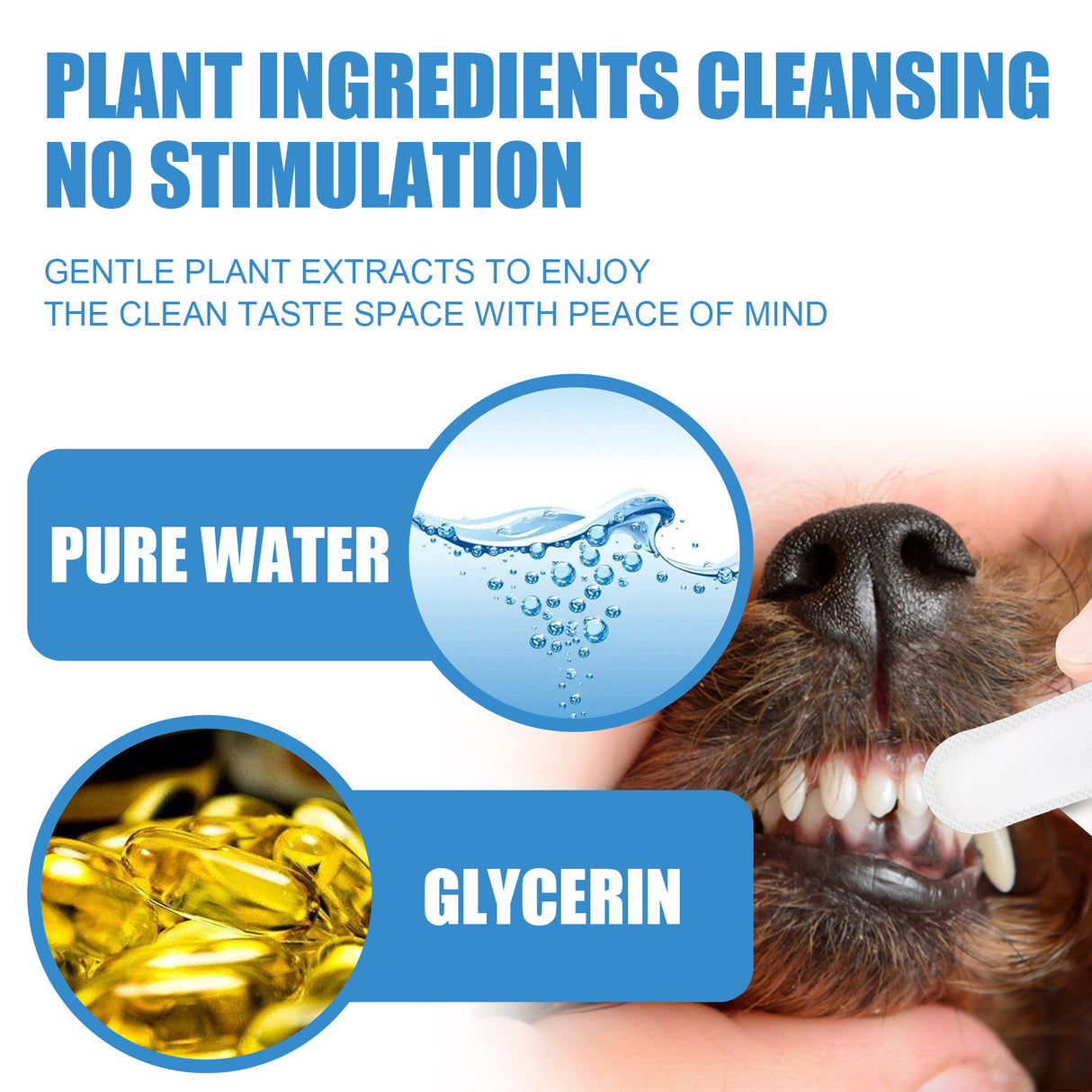 Pet Dental Finger Wipes, Bad Breath Tartar Teeth Yellow Dog Clean Mouth Care Finger Cover - V.I.P Digital Presence