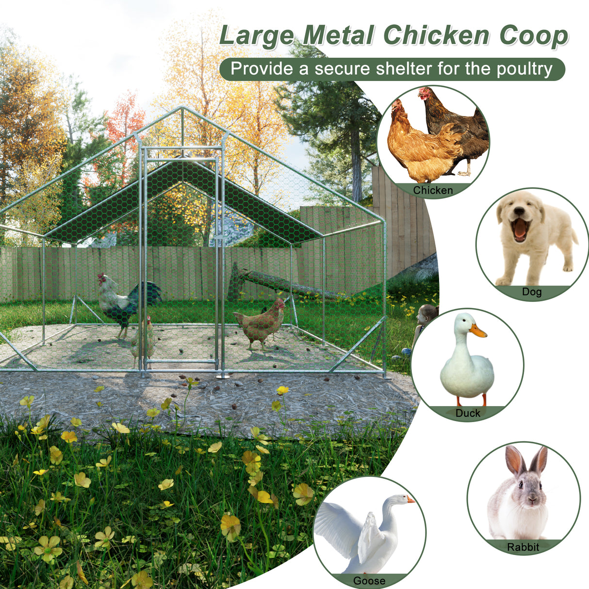 Large metal chicken cage, galvanized iron ribbon waterproof and UV resistant cover (10 'long x 13' wide x 6.56 'high) - V.I.P Digital Presence