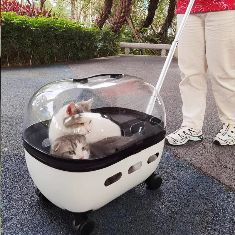 New Transparent Capsule Pet Travel Trolley Carriers Bag Stroller for 10kg Puppies Dogs Cat with Wheel - V.I.P Digital Presence