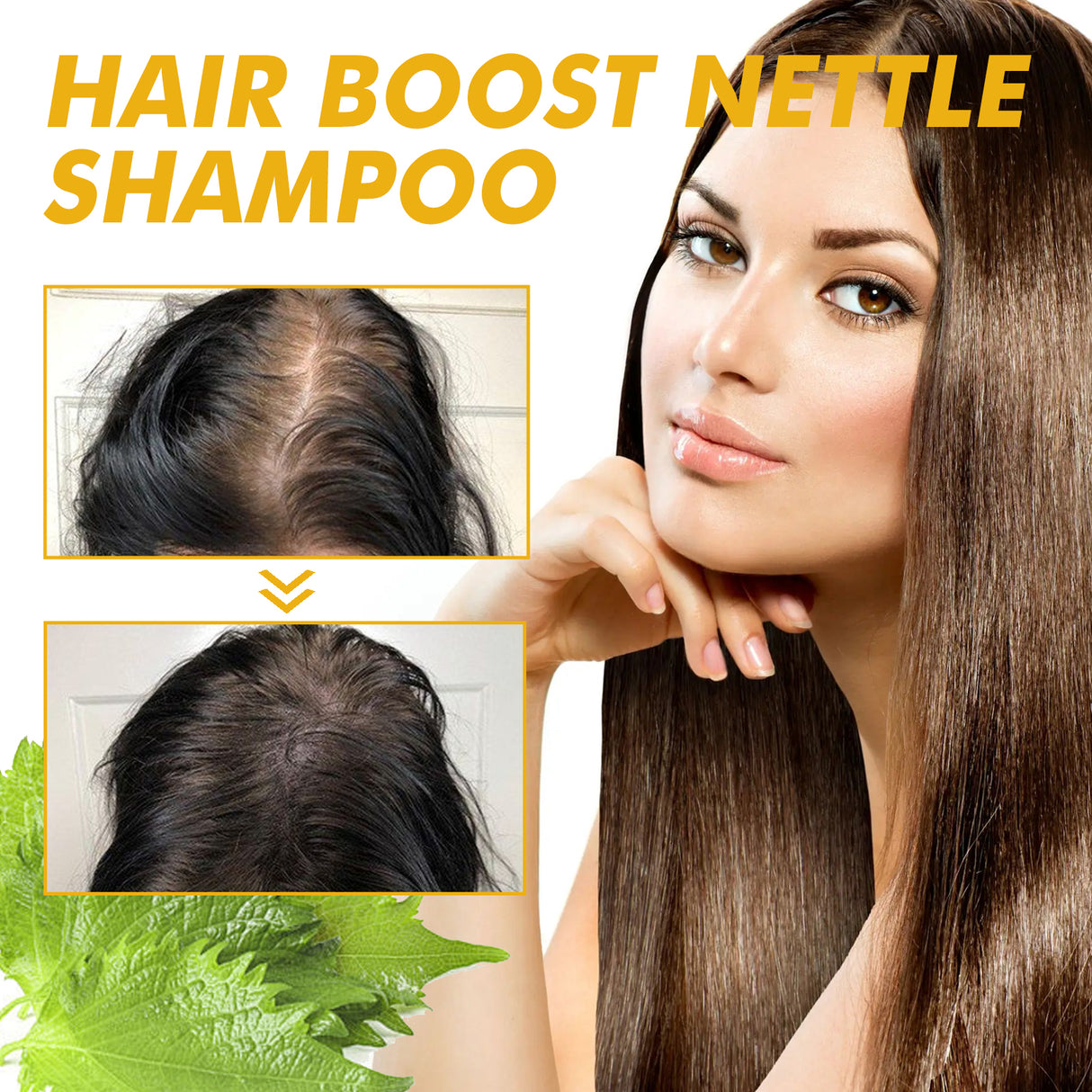 WIYUN Hair Boost Nettle Shampoo, Deep Cleansing Scalp Moisturizing Repair Solid Hair Dense Anti-Fall Smoothing Hair Care Shampoo - V.I.P Digital Presence