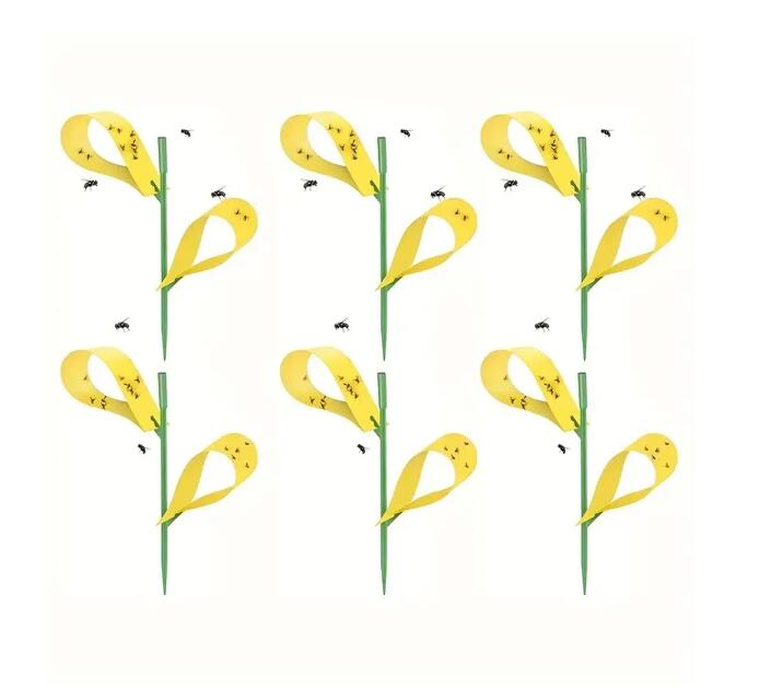 Sticky Houseplant Traps Gnat Yellow Insect Trap Indoor Fruit Fly Stakes Trap - V.I.P Digital Presence