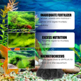Dealgal Lichen, Aquarium Cleaning Agent Algae Removal Moss Fish Tank Moss Removal Agent Algae Removal From Green Water - V.I.P Digital Presence
