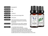 14 Piece Cross border Unilateral Essential Oil Set Box Unisex 14 Pack Body Set 10ml - V.I.P Digital Presence