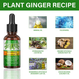 Rosemary Hair Essential Oil Gentle Scalp Care Soft Shine Natural Fluffy Hair Essential Oil - V.I.P Digital Presence