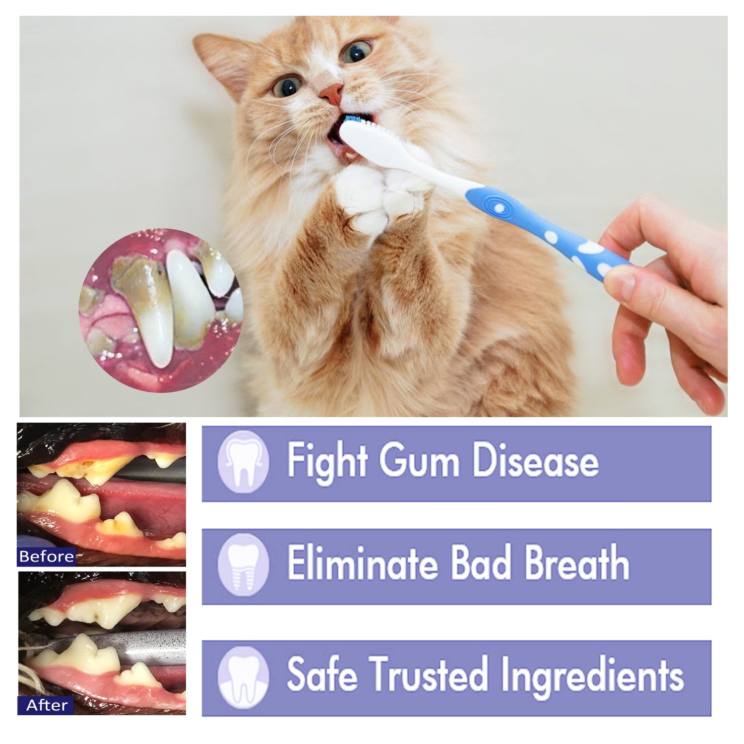Vip Toothpaste Pet V34 Toothpaste, Pet Clean Bad Breath Tartar Care Gum Care Toothpas ...