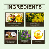 Chamomile Sleep Essential Oil Comfort Daily Portable Hydrating And Moisturizing Body Care Oil - V.I.P Digital Presence