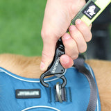 Pet dog leash with elastic cushioning suitable for outdoor activities such as running and waist tying - V.I.P Digital Presence