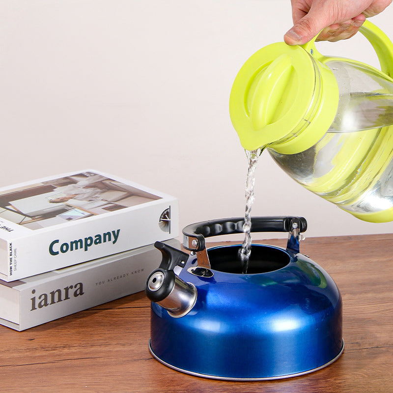 A 3L stainless - steel kettle for gas heating. It features a whistle and a comfortable handle, suitable for cooking and tea. - V.I.P Digital Presence