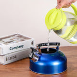 A 3L stainless - steel kettle for gas heating. It features a whistle and a comfortable handle, suitable for cooking and tea. - V.I.P Digital Presence