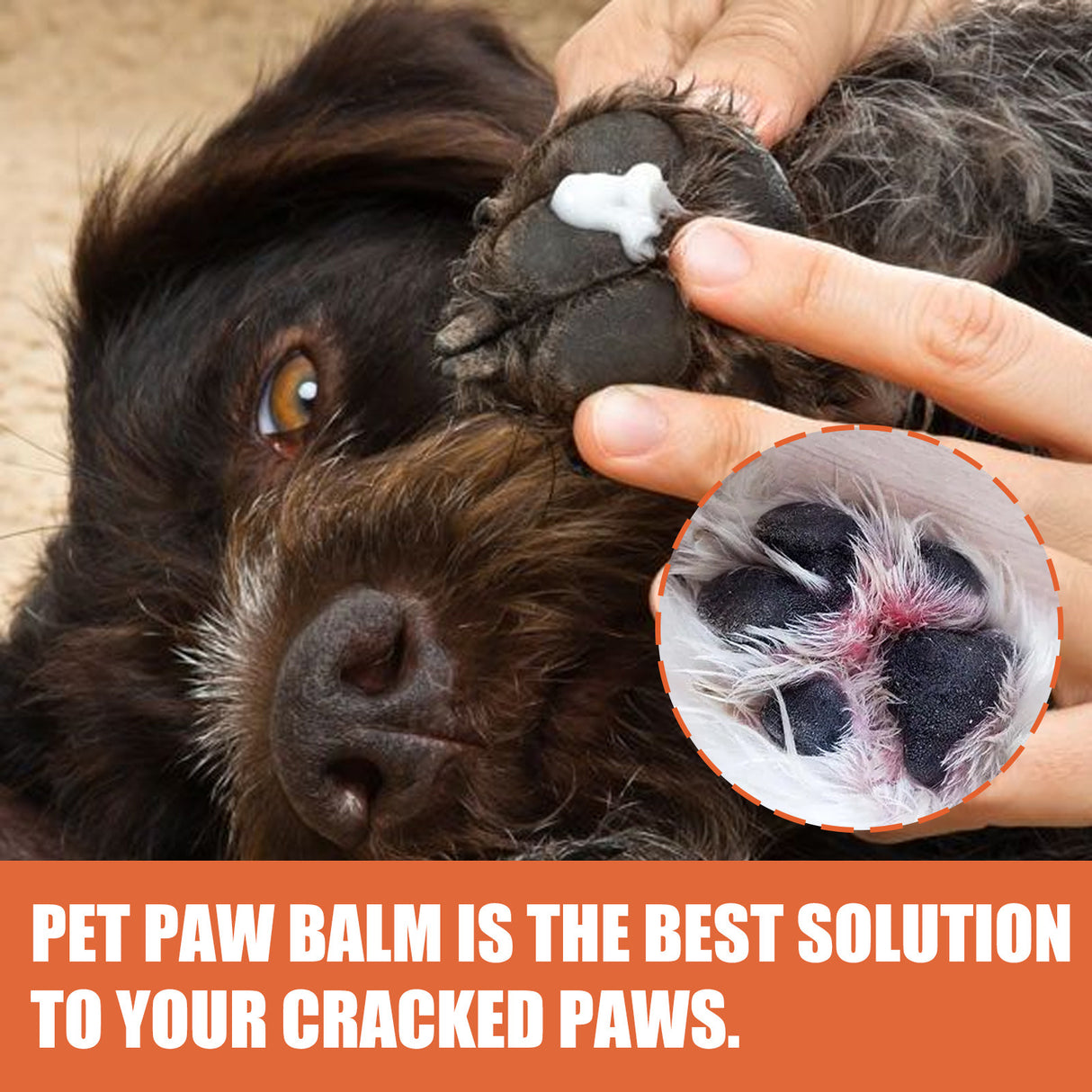 Pet Foot Care Cream For Animals, Cats, Dogs And Paws Foot Care Cream For Soles And Pads - V.I.P Digital Presence