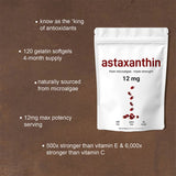 Astaxanthin Capsules ASTAXANTHIN Rich DHA Support - V.I.P Digital Presence