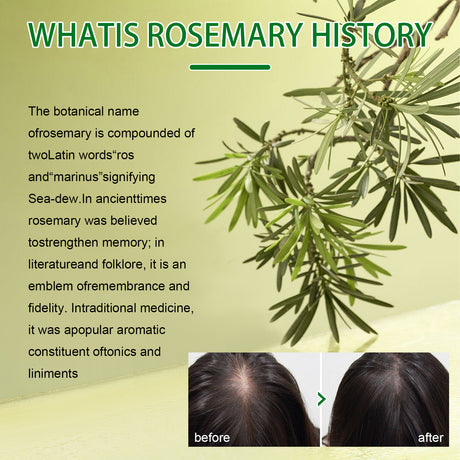 Rosemary Dense Hair Spray Hydrates Roots For Increased Elasticity Restoring Shine Anti-Set Hair Spray - V.I.P Digital Presence