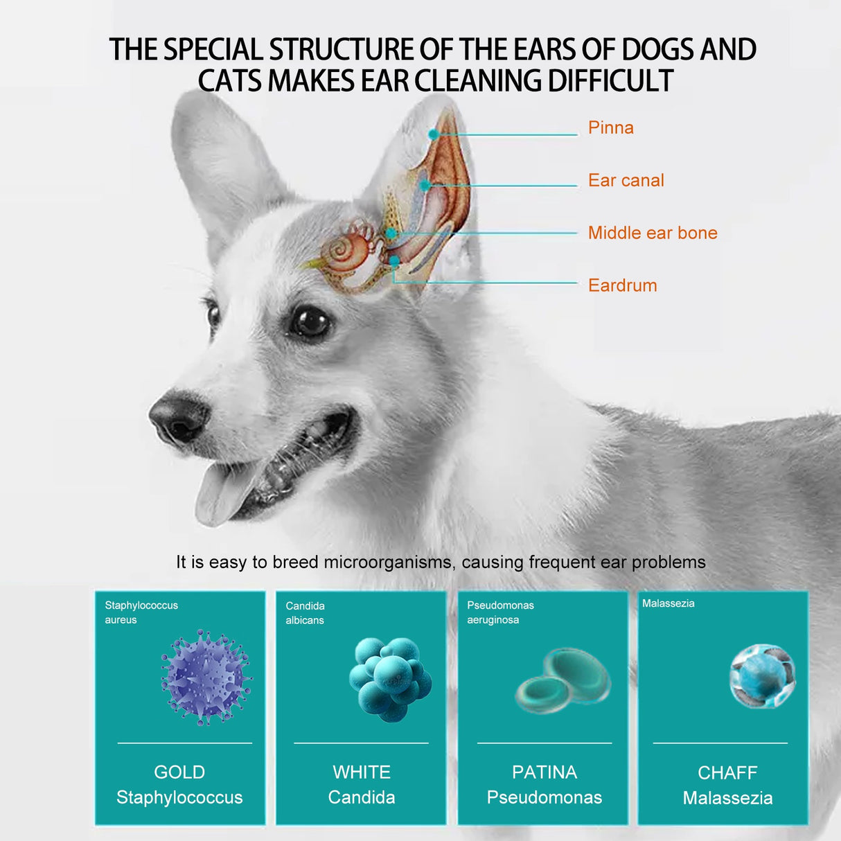 Pet Ear Cleaning Finger Sleeves for Cats and Dogs Ear Mite and Earwax Care Ear Canal Cleaning Finger Sleeves - V.I.P Digital Presence