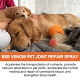 Pet Joint Repair Spray, Relieve Pet Joint Discomfort Muscle Weakness Pet Joint Care Spray - V.I.P Digital Presence