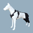 Pet Leg Support Dog Knee Brace Post-Surgery Rehabilitation Knee Support Joint Protection Bandage - V.I.P Digital Presence