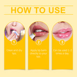 Lemon and Ginger Lip Balm Moisturize and Moisturize with Lemon and Prevent dry and cracking Nourishing Lip Balm - V.I.P Digital Presence