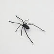 Plastic Spider as Decoration - Novelty Ornament - V.I.P Digital Presence