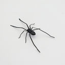 Plastic Spider as Decoration - Novelty Ornament - V.I.P Digital Presence
