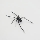 Plastic Spider as Decoration - Novelty Ornament - V.I.P Digital Presence
