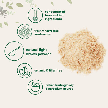 Lion mane mushroom powder Monkey head mushroom powder - V.I.P Digital Presence