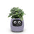 USB Auto Absorbent Planter Brand New PP Resin Plastic Round Eco-friendly Interactive - V.I.P Digital Presence
