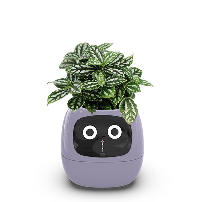 USB Auto Absorbent Planter Brand New PP Resin Plastic Round Eco-friendly Interactive - V.I.P Digital Presence