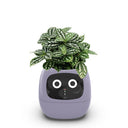 USB Auto Absorbent Planter Brand New PP Resin Plastic Round Eco-friendly Interactive - V.I.P Digital Presence