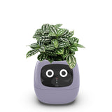 USB Auto Absorbent Planter Brand New PP Resin Plastic Round Eco-friendly Interactive - V.I.P Digital Presence