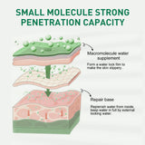 Tea Tree Oil Acne Serum, Remove Acne, Clear Acne, Repair Skin, Lighten Acne Printing Face Essence - V.I.P Digital Presence