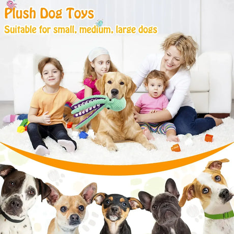 Pet Plush Toy Cat Dog Voice Octopus Shell Puzzle Toy Bite Resistant Interactive Pet Dog Teeth Cleaning Chew Toy Pet Supplies - V.I.P Digital Presence