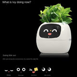 USB Auto Absorbent Planter Brand New PP Resin Plastic Round Eco-friendly Interactive - V.I.P Digital Presence