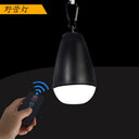 Mini Camping Lights New Night Lights Rainproof Camping Lights Remote Control LED Hook Tent Lights - V.I.P Digital Presence
