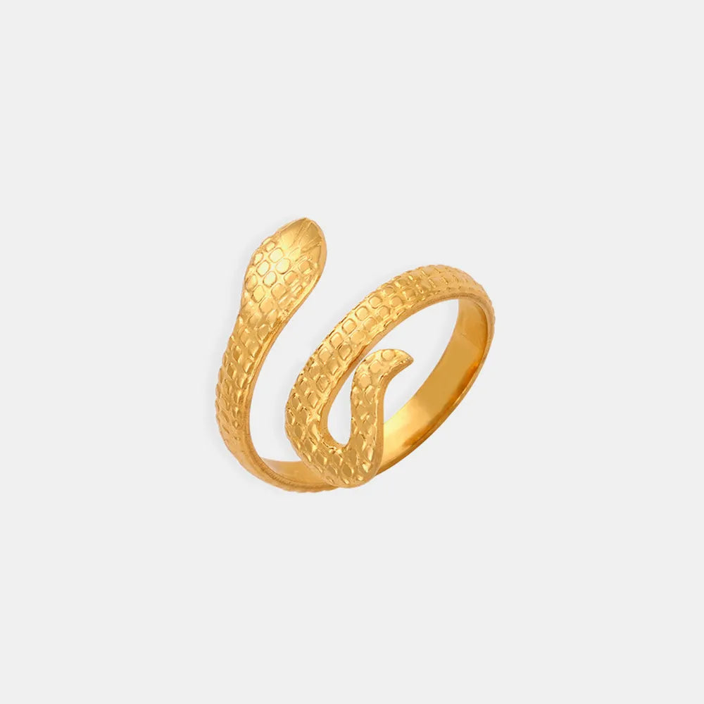 Titanium Steel Snake Shape Bypass Ring - V.I.P Digital Presence