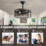 20 inch Caged Ceiling Fan with Lights - V.I.P Digital Presence