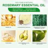 Rosemary Essential Oil Hydrates And Moisturizes Damaged Hair, Strengthens Hair And Softens Hair Care Essential Oil - V.I.P Digital Presence