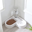 Pet bowls save space reduce flipping wet mouth cat bowls pet automatic water dispensers pet food bowls dog bowls - V.I.P Digital Presence