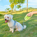 3m Pet Leash For Small Dogs Cat Automatic Retractable Nylon Durable Walking Lead Puppy Outdoor Travel Pet Products 1pcs - V.I.P Digital Presence