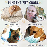 Pet Odor & Stain Eliminator, Clean Dog And Cat Body Odor Feces Odor Removal Indoor Fresh Deodorizer - V.I.P Digital Presence