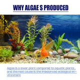 Dealgal Lichen, Aquarium Cleaning Agent Algae Removal Moss Fish Tank Moss Removal Agent Algae Removal From Green Water - V.I.P Digital Presence
