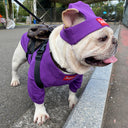Pet Clothing Trendy Brand Street Dog Clothes Fighting Teddy Schnauzer Bottom Coat Hat Set - V.I.P Digital Presence