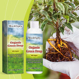 Plant growth Solution potted green leaf lawn flower plant hair root supplement fertilizer nutrient solution - V.I.P Digital Presence