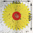 Window Fruit Fly Traps with Strong Stickiness Indoor use Sunflower Window Fly Stickers - V.I.P Digital Presence