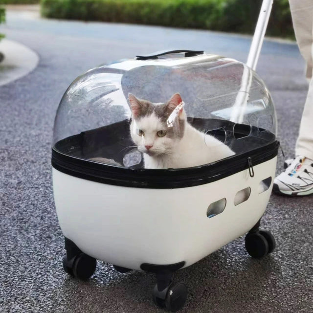 New Transparent Capsule Pet Travel Trolley Carriers Bag Stroller for 10kg Puppies Dogs Cat with Wheel - V.I.P Digital Presence