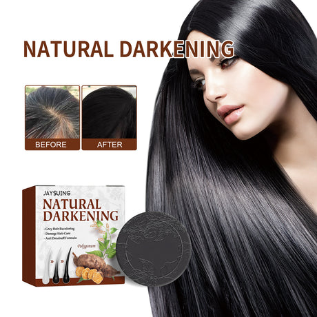 Polykum Multiflorum Repair Shampoo Natural Black Hair Moisturizing And Smoothing Shampoo - V.I.P Digital Presence