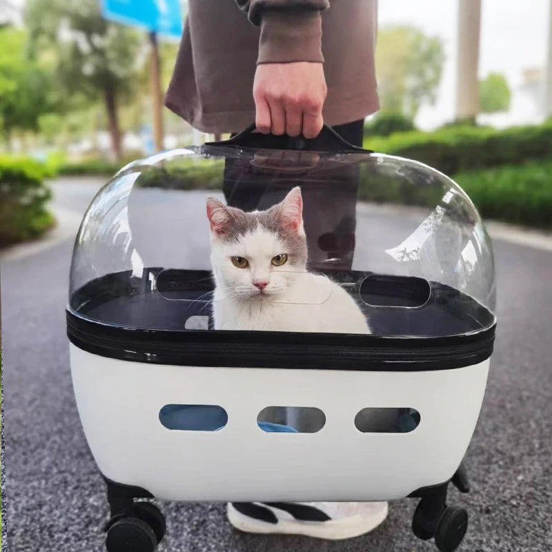 New Transparent Capsule Pet Travel Trolley Carriers Bag Stroller for 10kg Puppies Dogs Cat with Wheel - V.I.P Digital Presence
